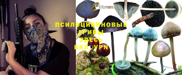 mdpv Володарск