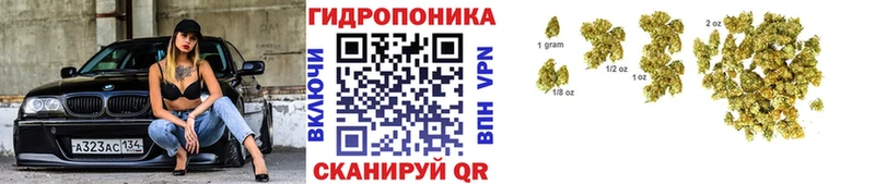 Конопля тримм  Выборг 